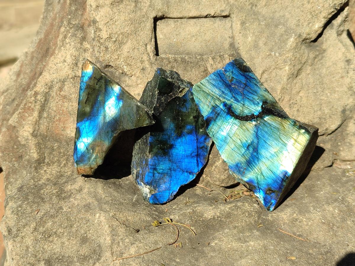 Polished One Side Labradorite Plates x 24 From Madagascar - Toprock Gemstones and Minerals 