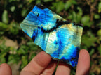 Polished One Side Labradorite Plates x 24 From Madagascar - Toprock Gemstones and Minerals 