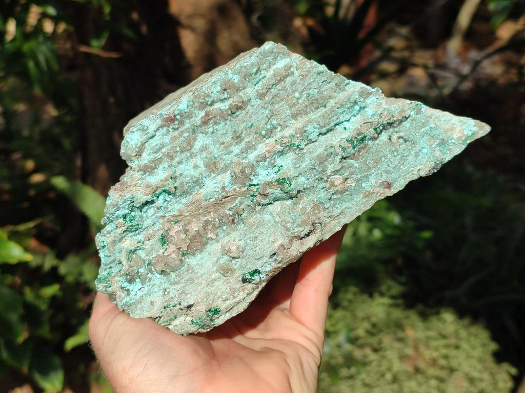 Natural Drusy Coated Chrysocolla with Fine Quartz Crystals x 2 From Likasi, Congo - Toprock Gemstones and Minerals 