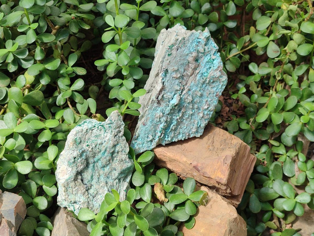 Natural Drusy Coated Chrysocolla with Fine Quartz Crystals x 2 From Likasi, Congo - Toprock Gemstones and Minerals 