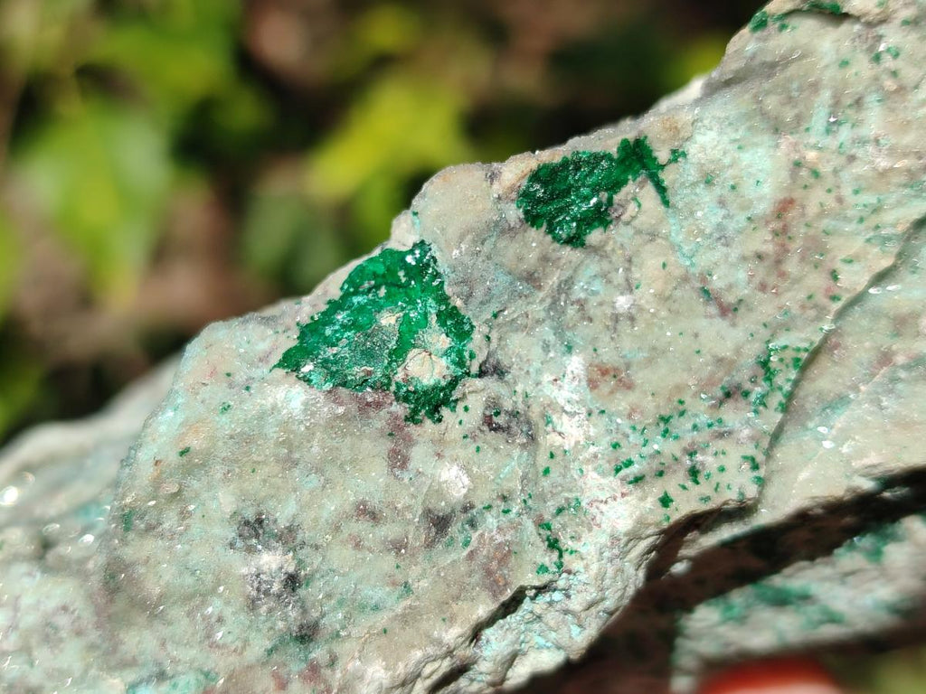 Natural Drusy Coated Chrysocolla with Fine Quartz Crystals x 2 From Likasi, Congo - Toprock Gemstones and Minerals 
