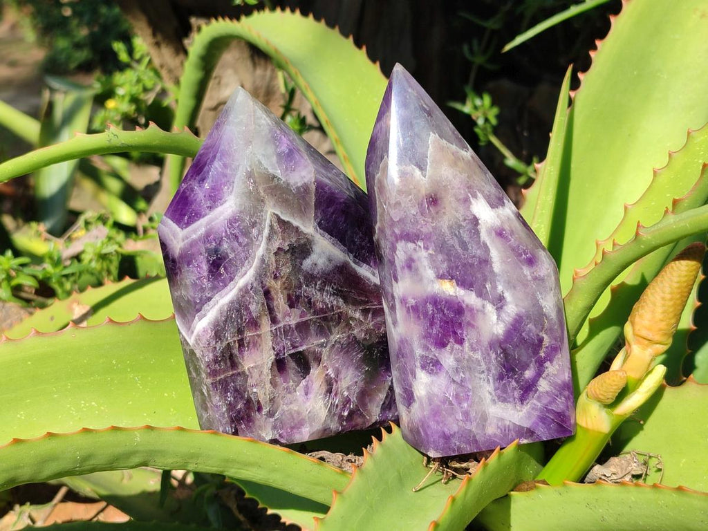 Polished Chevron Amethyst Display Crystal Points x 3 From Zambia - Toprock Gemstones and Minerals 