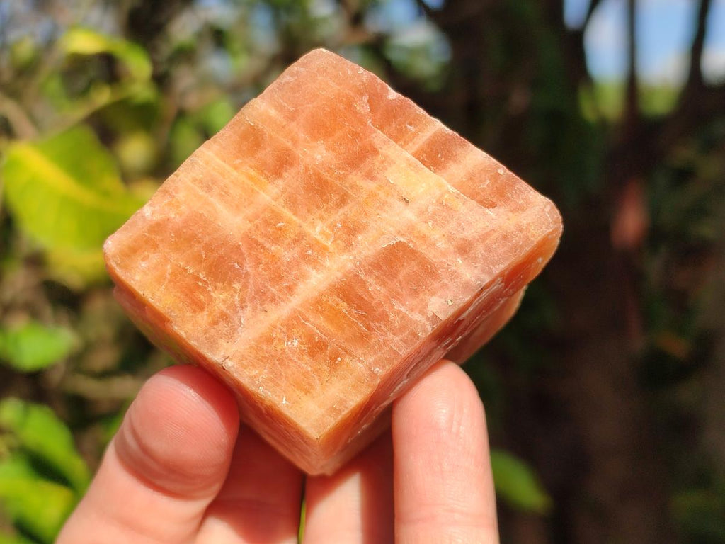 Natural Rhombohedral Sunset Orange Calcite Specimens x 12 From Spitzkop, Namibia - Toprock Gemstones and Minerals 