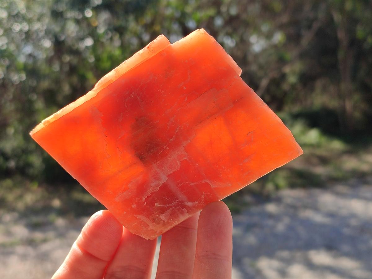 Natural Rhombohedral Sunset Orange Calcite Specimens x 12 From Spitzkop, Namibia - Toprock Gemstones and Minerals 