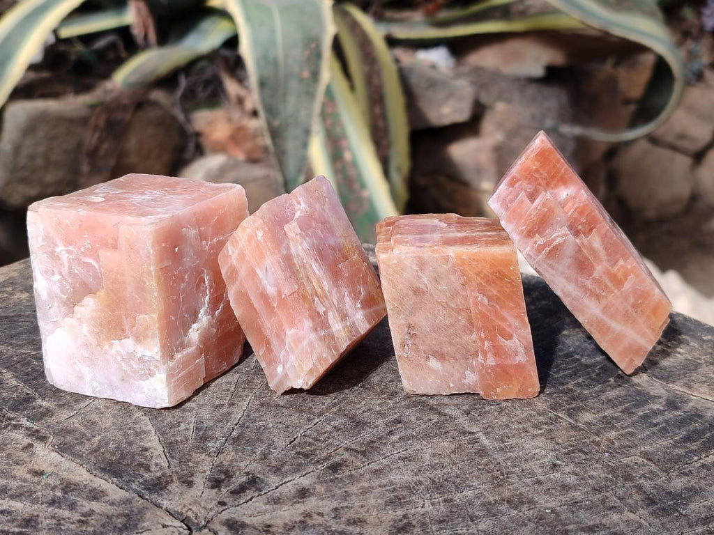Natural Rhombohedral Sunset Orange Calcite Specimens x 12 From Spitzkop, Namibia - Toprock Gemstones and Minerals 