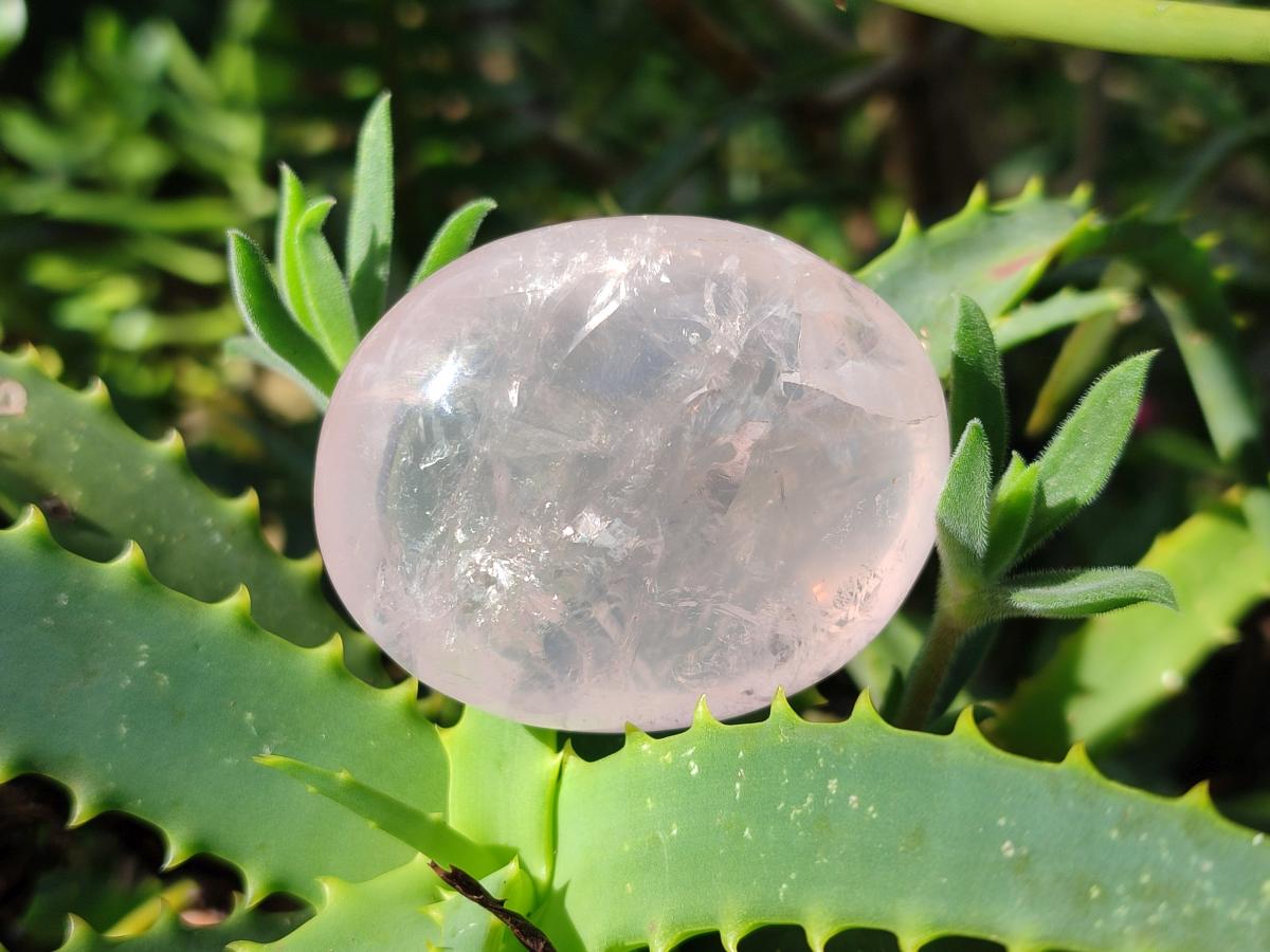 Polished Gemmy Rose Quartz Palm Stones x 20 From Madagascar - Toprock Gemstones and Minerals 
