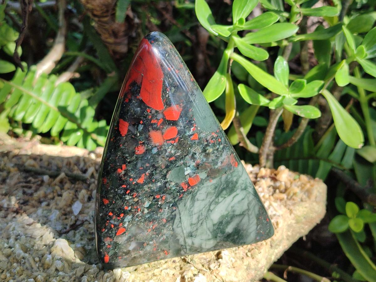 Polished Bloodstone Standing Display Pieces x 2 From Swaziland - Toprock Gemstones and Minerals 