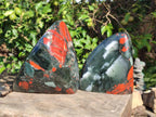 Polished Bloodstone Standing Display Pieces x 2 From Swaziland - Toprock Gemstones and Minerals 