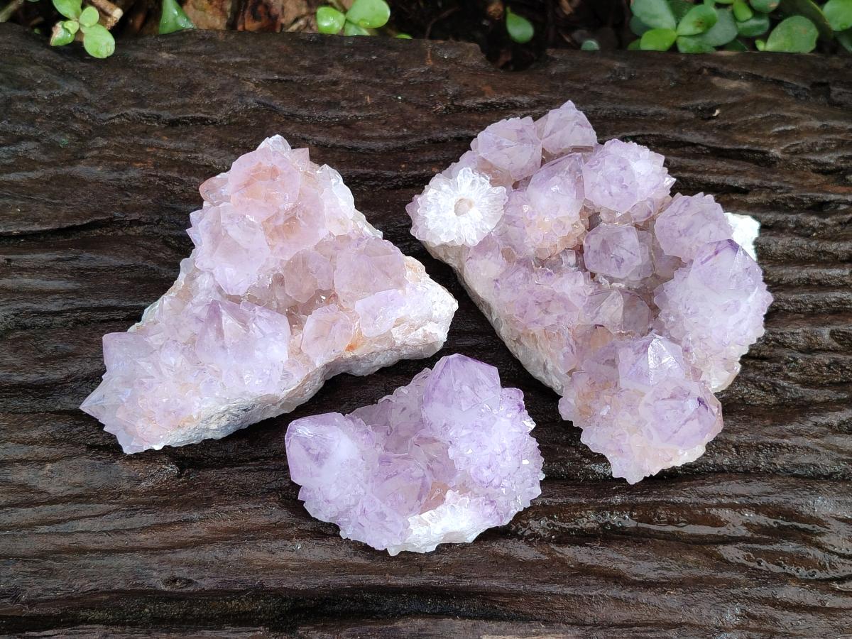 Natural Spirit Amethyst Clusters x 3 From Boekenhouthoek, South Africa - Toprock Gemstones and Minerals 