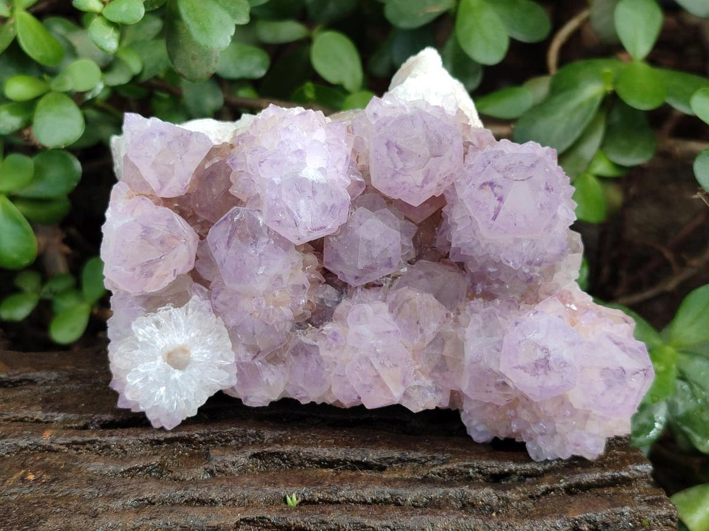 Natural Spirit Amethyst Clusters x 3 From Boekenhouthoek, South Africa - Toprock Gemstones and Minerals 