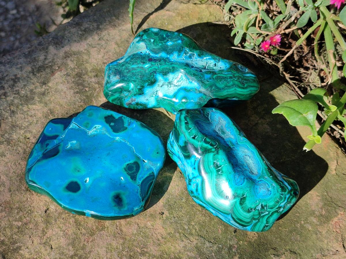 Polished Malacolla Free Forms x 3 From Kulukuluku, Congo - Toprock Gemstones and Minerals 