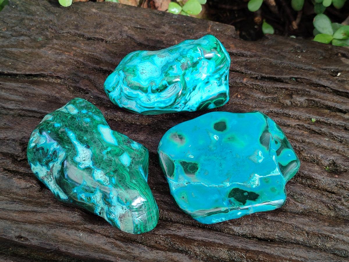Polished Malacolla Free Forms x 3 From Kulukuluku, Congo - Toprock Gemstones and Minerals 