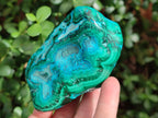 Polished Malacolla Free Forms x 3 From Kulukuluku, Congo - Toprock Gemstones and Minerals 