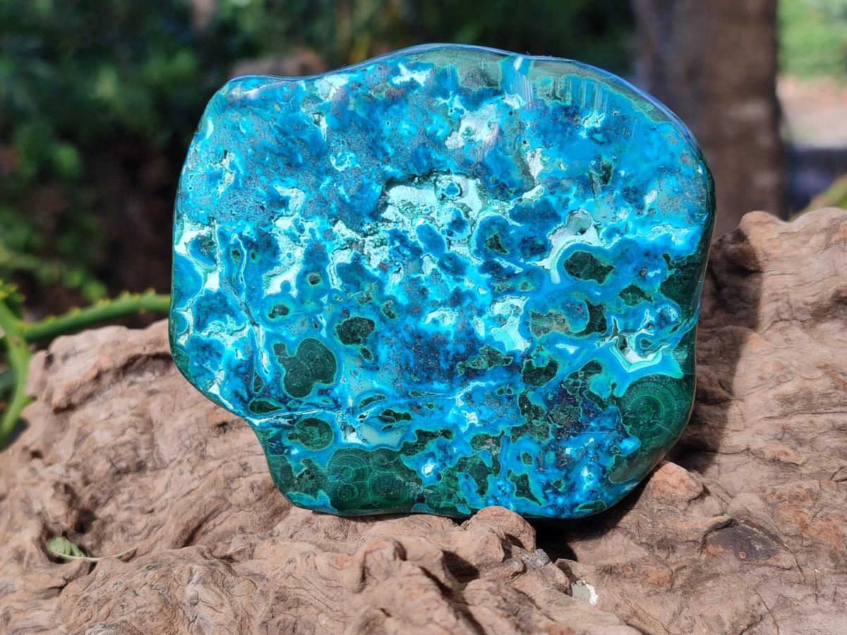 Polished Malacolla Free Forms x 3 From Kulukuluku, Congo - Toprock Gemstones and Minerals 