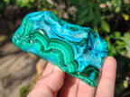 Polished Malacolla Free Forms x 3 From Kulukuluku, Congo - Toprock Gemstones and Minerals 
