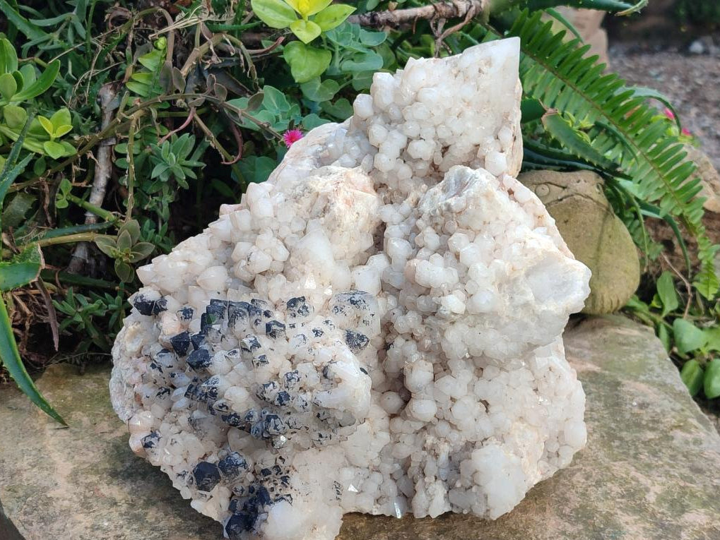 Natural XXL Cascading "Anananas" Candle Quartz Cluster x 1 From Antsirabe, Madagascar - Toprock Gemstones and Minerals 