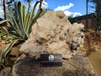 Natural XXL Cascading "Anananas" Candle Quartz Cluster x 1 From Antsirabe, Madagascar - Toprock Gemstones and Minerals 