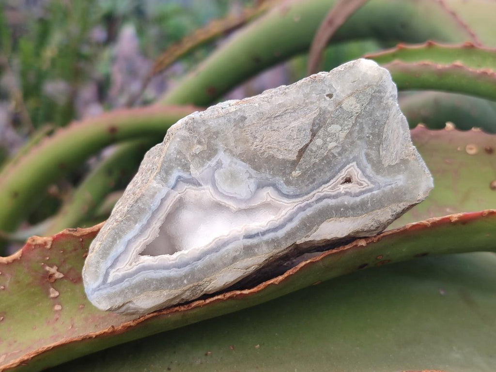Polished Blue Lace Agate Geodes x 12 From Nsanje, Malawi - Toprock Gemstones and Minerals 