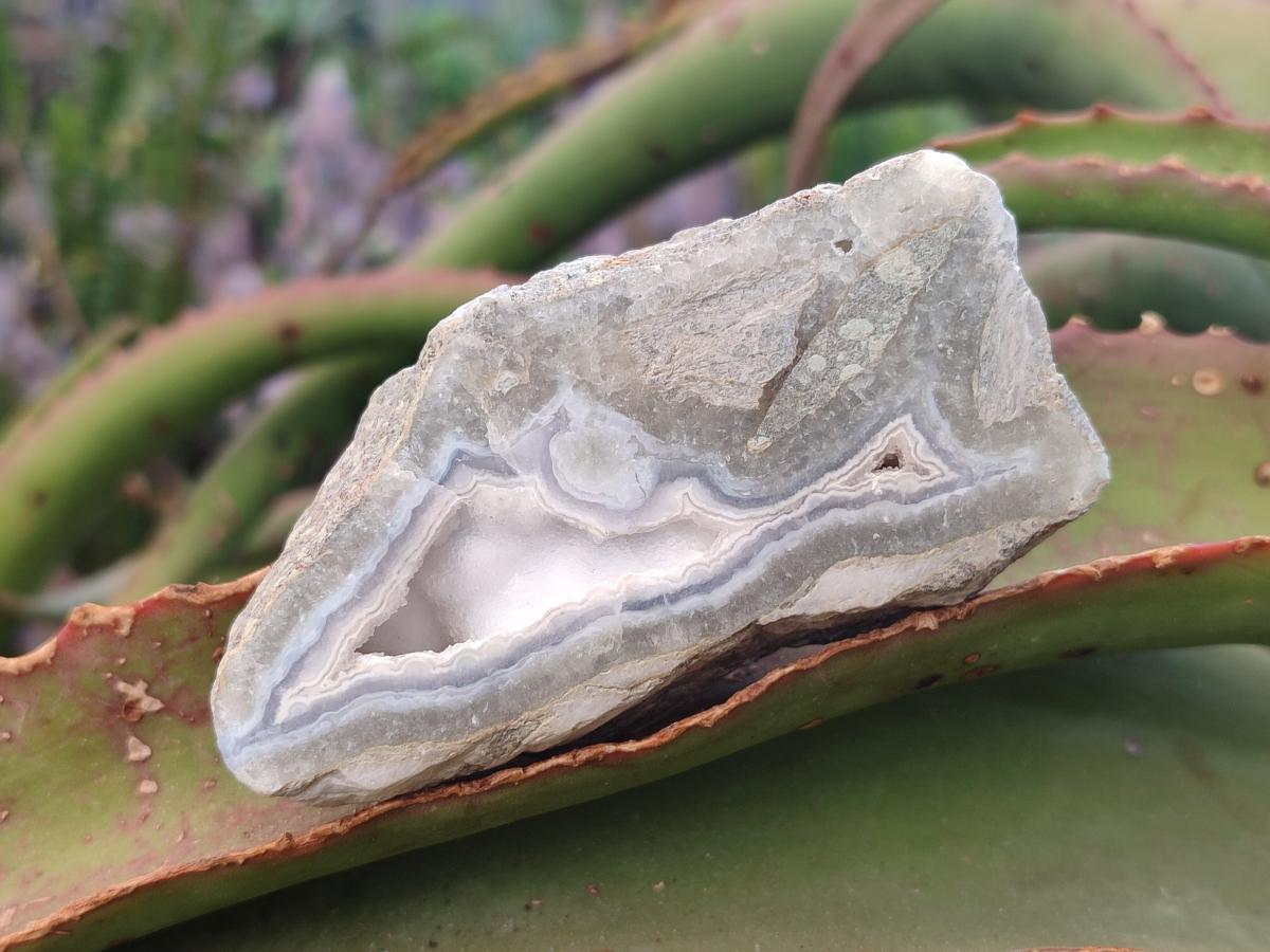 Polished Blue Lace Agate Geodes x 12 From Nsanje, Malawi - Toprock Gemstones and Minerals 