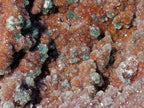 Natural Large Drusy Quartz Coated Ball Malachite on Red Dolomite Specimen x 1 From Mindingi Mine, Congo