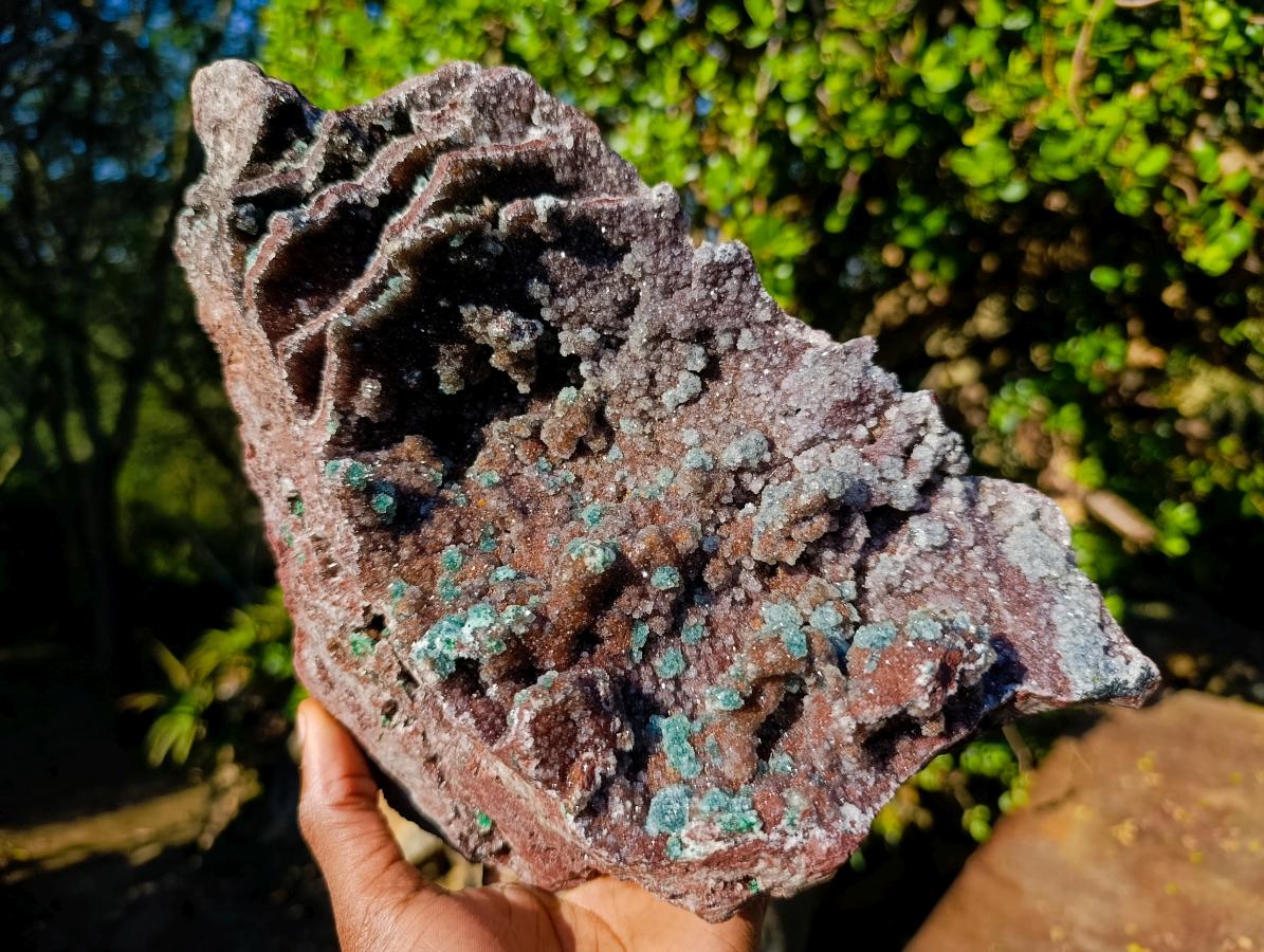 Natural Large Drusy Quartz Coated Ball Malachite on Red Dolomite Specimen x 1 From Mindingi Mine, Congo