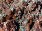 Natural Large Drusy Quartz Coated Ball Malachite on Red Dolomite Specimen x 1 From Mindingi Mine, Congo