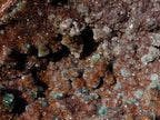 Natural Large Drusy Quartz Coated Ball Malachite on Red Dolomite Specimen x 1 From Mindingi Mine, Congo