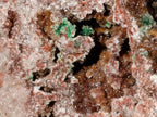 Natural Large Drusy Quartz Coated Ball Malachite on Red Dolomite Specimen x 1 From Mindingi Mine, Congo