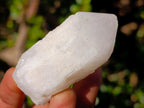 Natural Cascading "Anananas" Candle Quartz Crystals x 20 From Antsirabe, Madagascar - Toprock Gemstones and Minerals 