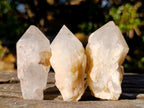 Natural Cascading "Anananas" Candle Quartz Crystals x 20 From Antsirabe, Madagascar - Toprock Gemstones and Minerals 
