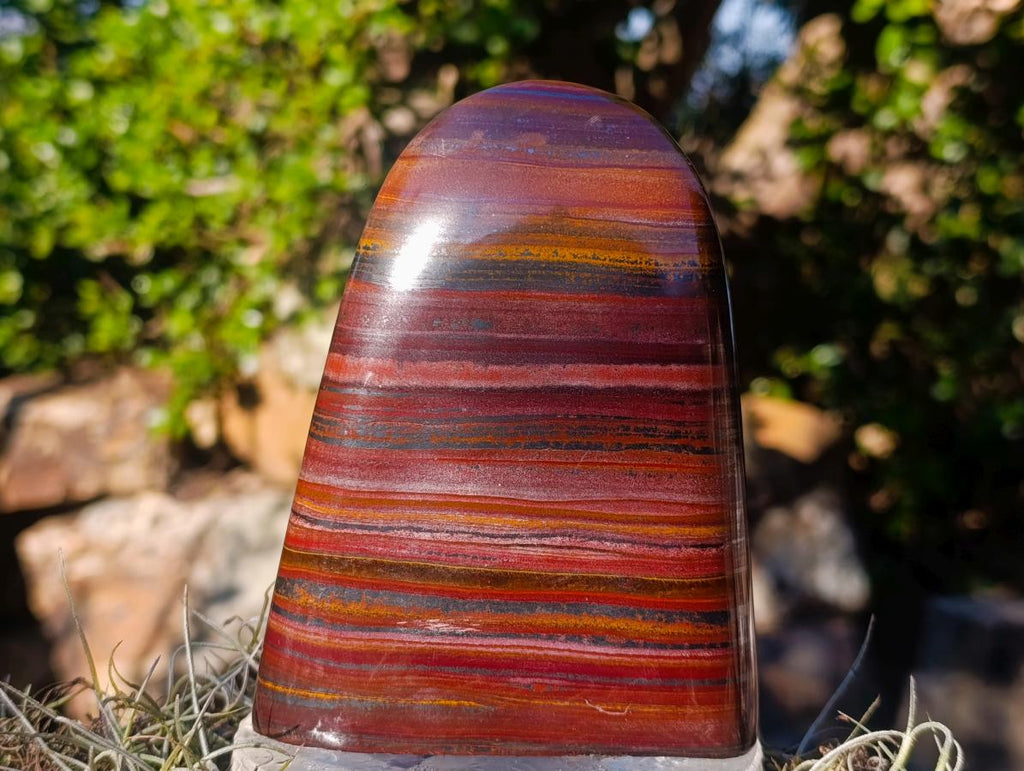 Polished Banded Tiger Iron Standing Display Pieces x 2 From South Africa - Toprock Gemstones and Minerals 