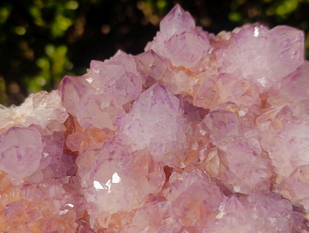 Natural Large Spirit Ametrine Cluster x 1 From Boekenhouthoek, South Africa
