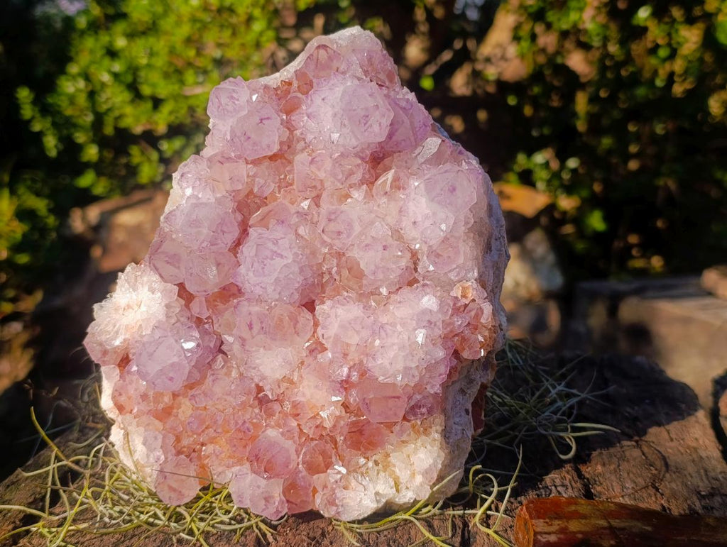 Natural Large Spirit Ametrine Cluster x 1 From Boekenhouthoek, South Africa