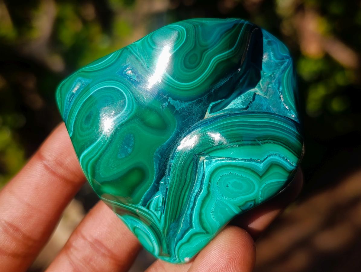 Polished Flower Banded Malachite Free Forms x 12 From Congo - Toprock Gemstones and Minerals 