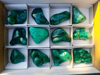 Polished Flower Banded Malachite Free Forms x 12 From Congo - Toprock Gemstones and Minerals 