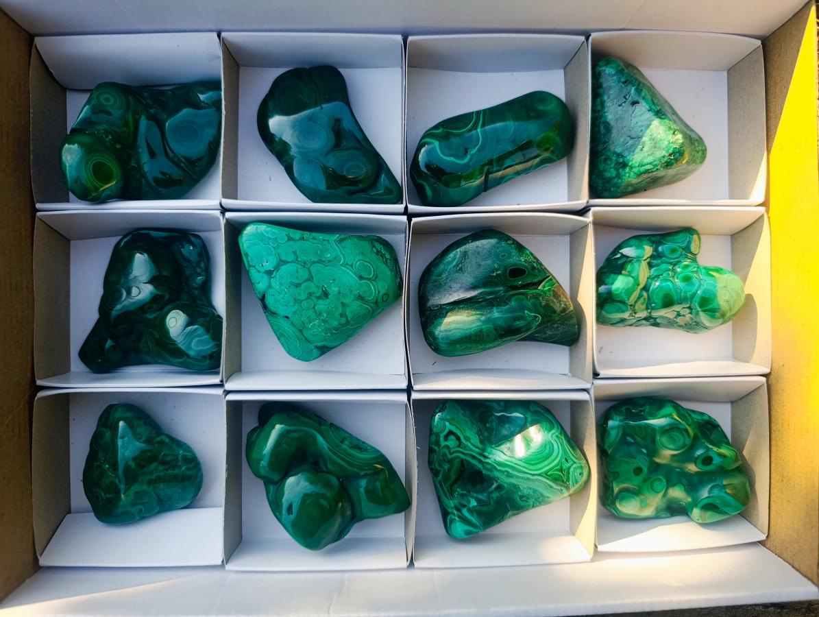 Polished Flower Banded Malachite Free Forms x 12 From Congo - Toprock Gemstones and Minerals 