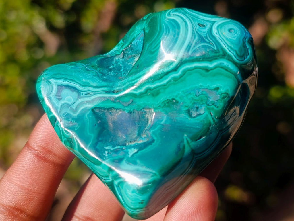 Polished Flower Banded Malachite Free Forms x 12 From Congo - Toprock Gemstones and Minerals 