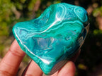 Polished Flower Banded Malachite Free Forms x 12 From Congo - Toprock Gemstones and Minerals 