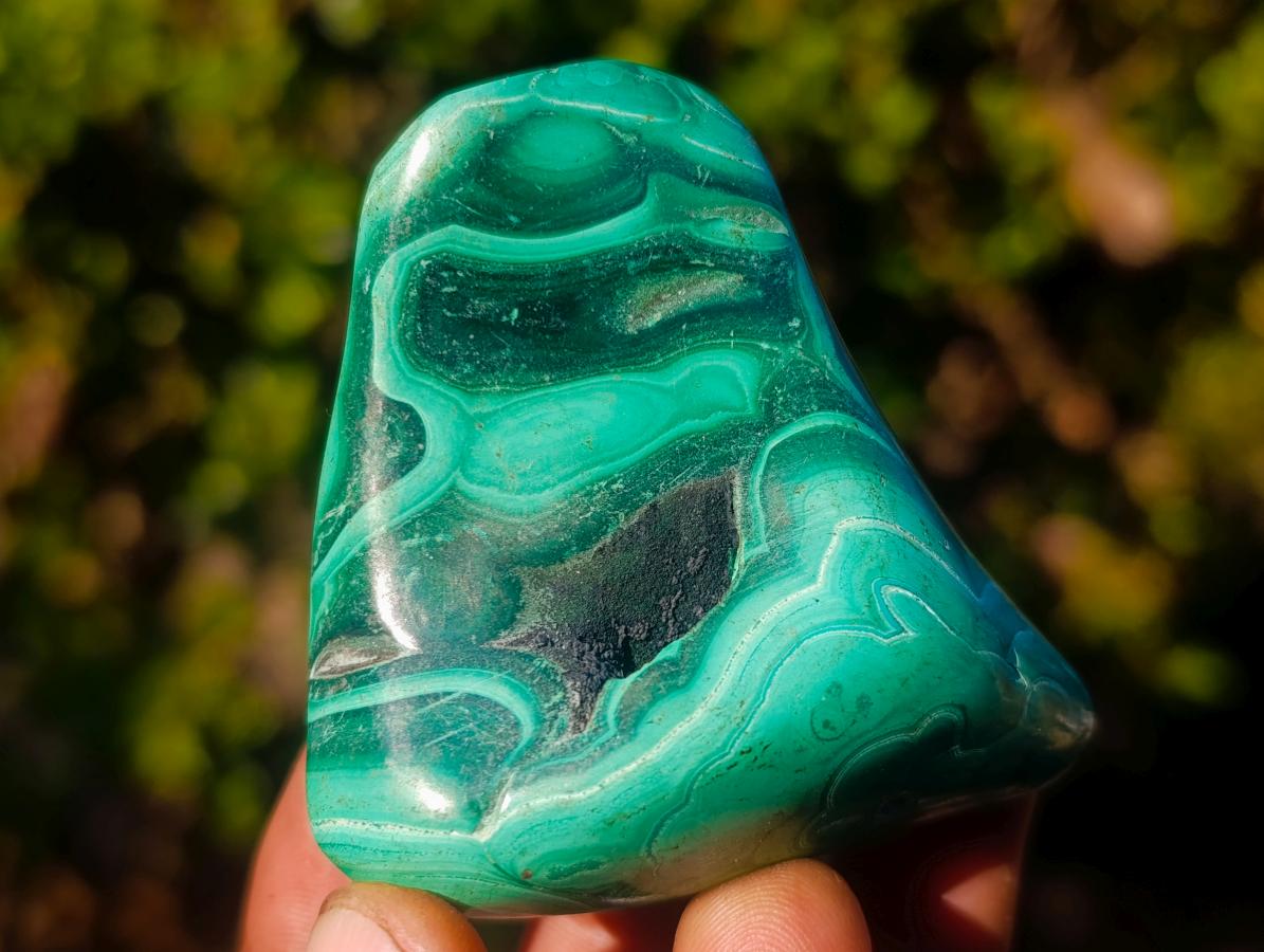Polished Flower Banded Malachite Free Forms x 12 From Congo - Toprock Gemstones and Minerals 