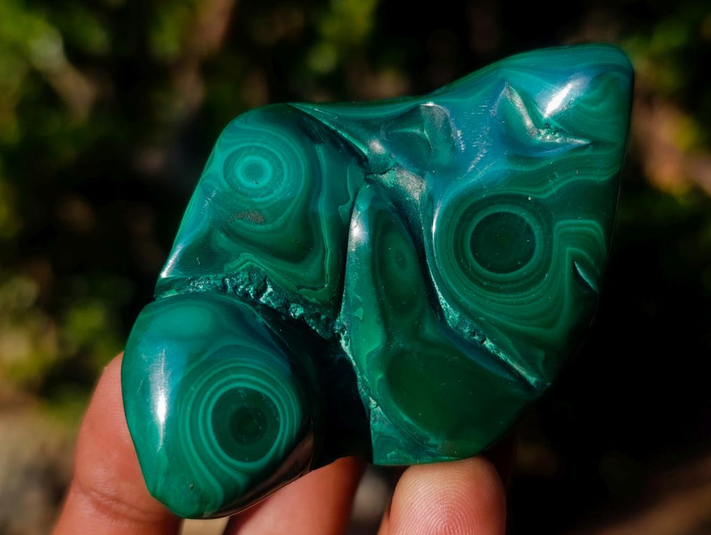 Polished Flower Banded Malachite Free Forms x 12 From Congo - Toprock Gemstones and Minerals 