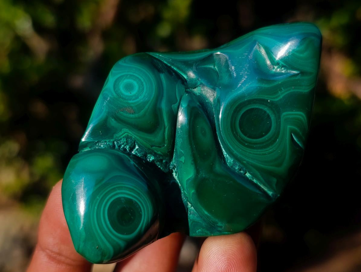 Polished Flower Banded Malachite Free Forms x 12 From Congo - Toprock Gemstones and Minerals 