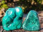 Polished Flower Banded Malachite Free Forms x 12 From Congo - Toprock Gemstones and Minerals 