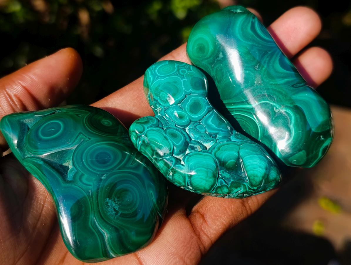 Polished Flower Banded Malachite Free Forms x 12 From Congo - Toprock Gemstones and Minerals 