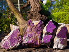 Natural Metallic Cobbed Purpurite Specimens x 12 From Erongo, Namibia - Toprock Gemstones and Minerals 