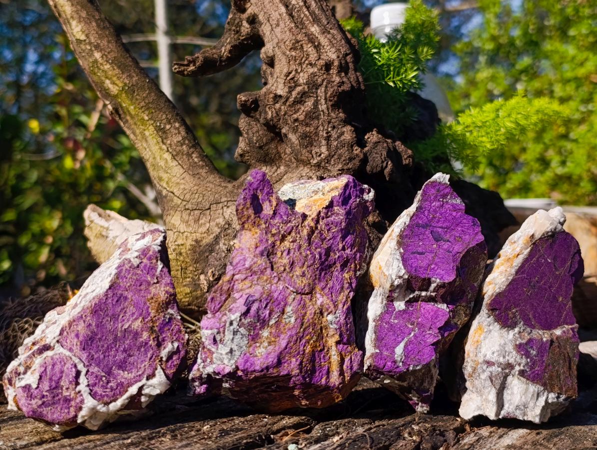 Natural Metallic Cobbed Purpurite Specimens x 12 From Erongo, Namibia - Toprock Gemstones and Minerals 