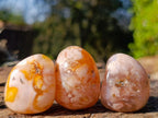 Polished Small Flower Agate Free Forms x 70 From Antsahalova, Madagascar - Toprock Gemstones and Minerals 