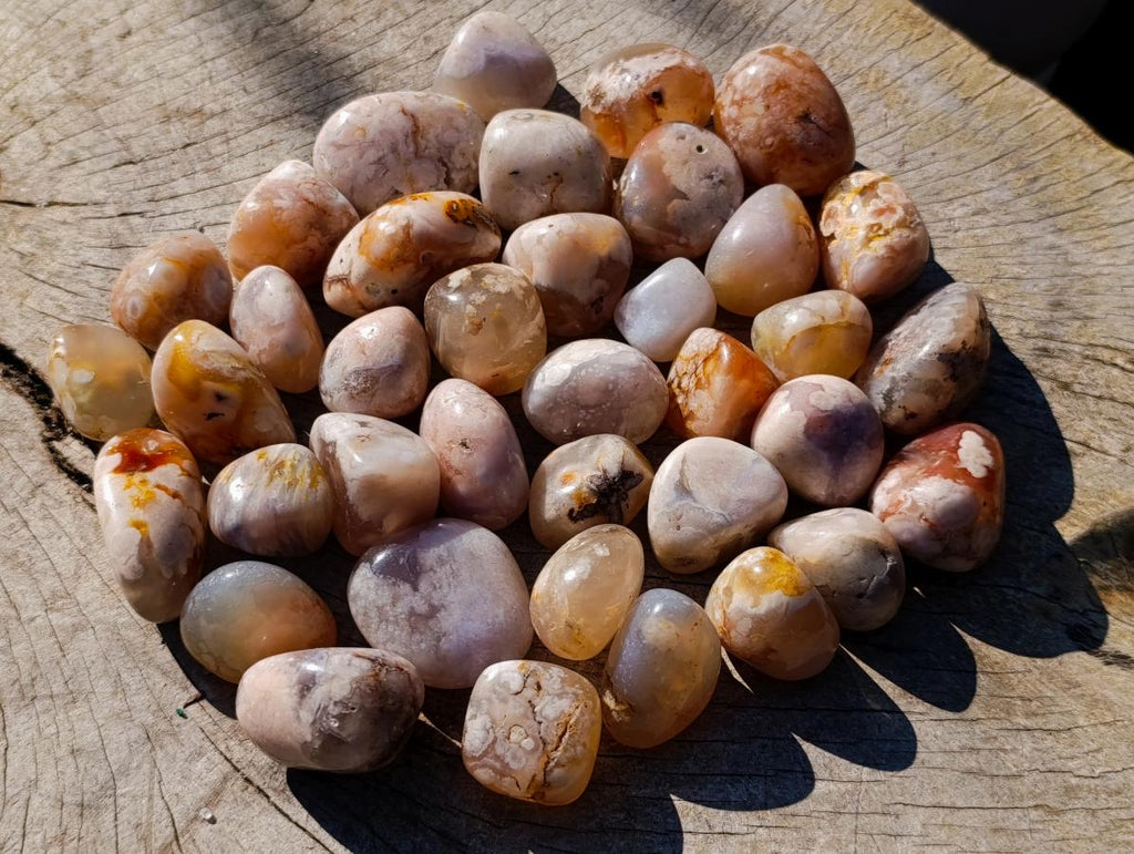 Polished Small Flower Agate Free Forms x 70 From Antsahalova, Madagascar - Toprock Gemstones and Minerals 