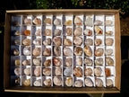 Polished Small Flower Agate Free Forms x 70 From Antsahalova, Madagascar - Toprock Gemstones and Minerals 