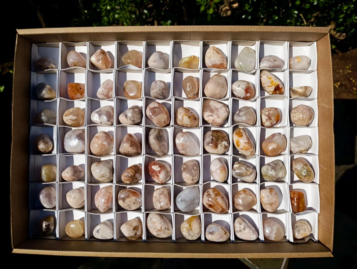 Polished Small Flower Agate Free Forms x 70 From Antsahalova, Madagascar - Toprock Gemstones and Minerals 