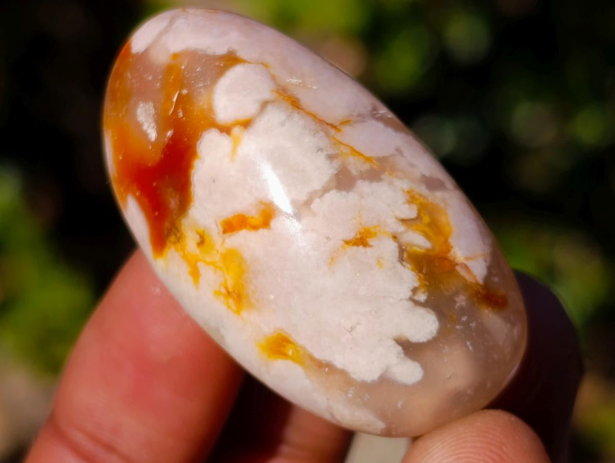 Polished Small Flower Agate Free Forms x 70 From Antsahalova, Madagascar - Toprock Gemstones and Minerals 